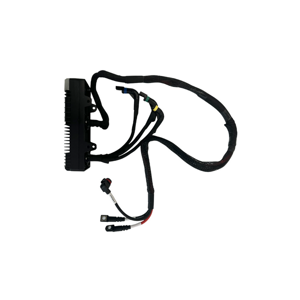 ESC