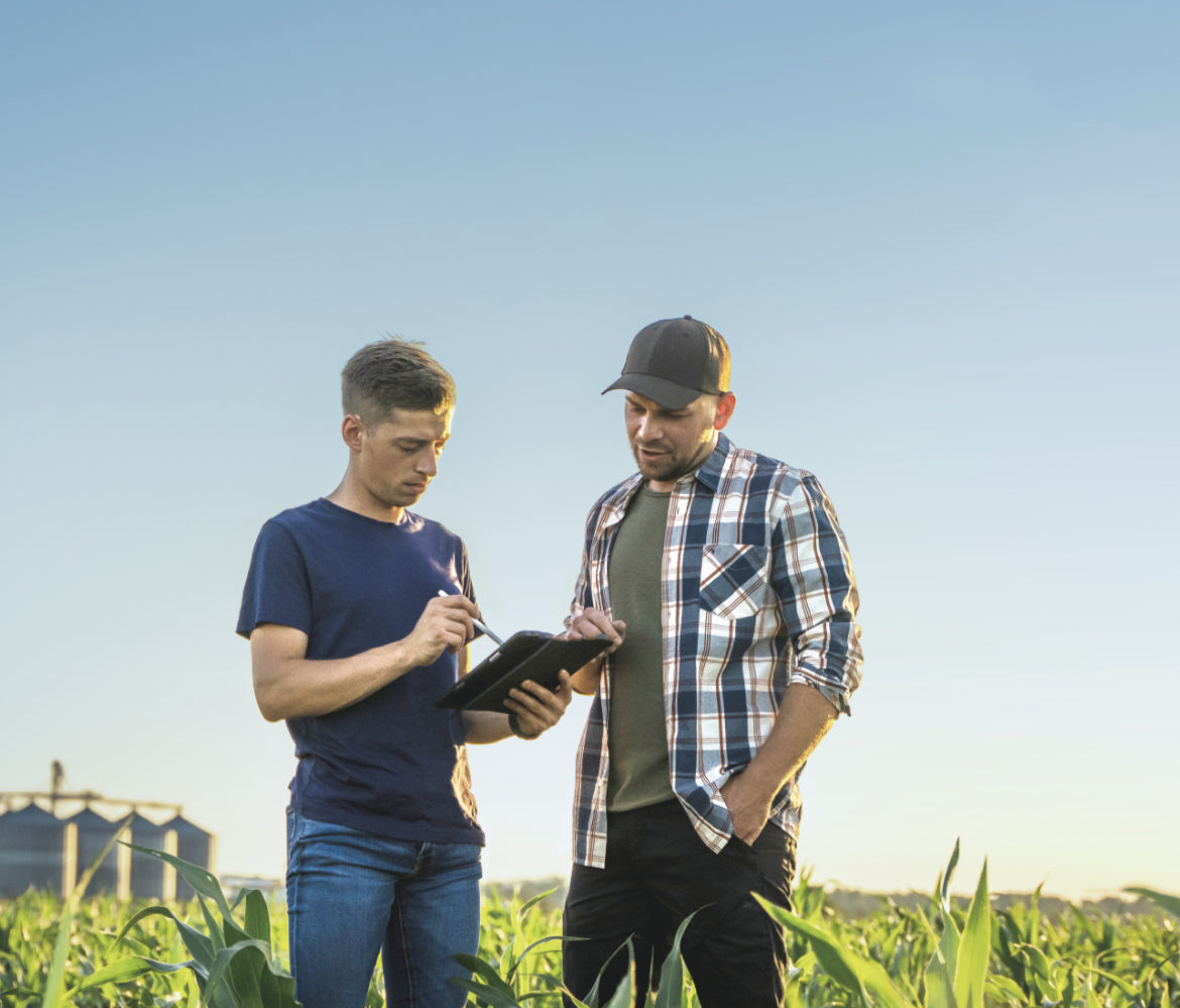 Agricultural specialists reviewing field data on a tablet